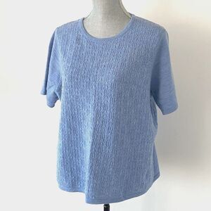 Pendleton Merino Wool Textured Blue Crewneck Sweater Half Sleeve XL Quiet Luxury